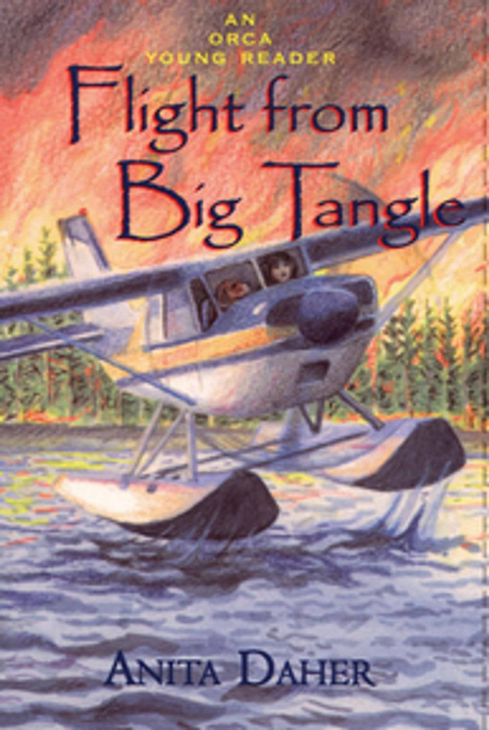 Big bigCover of Flight From Big Tangle
