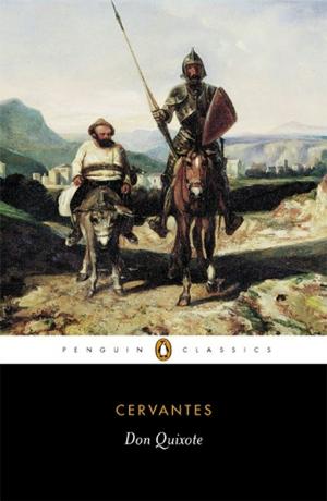 Cover of the book Don Quixote by Shelley MacKenney