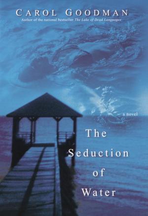 Cover of the book The Seduction of Water by Elizabeth Edge