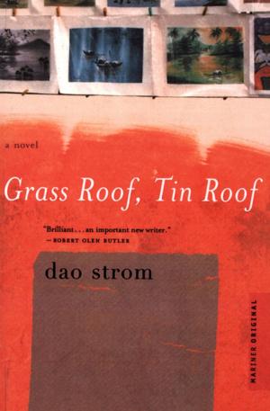 Cover of the book Grass Roof, Tin Roof by Nancy Marie Brown