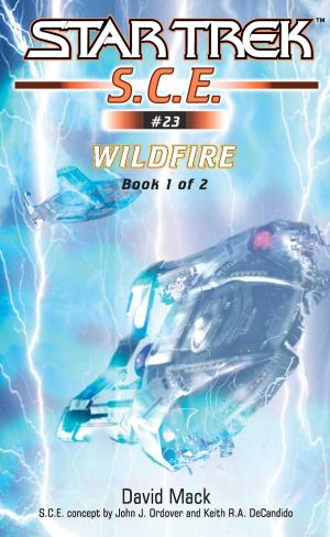 Cover of the book Wildfire Book 1 by J.M. Darhower