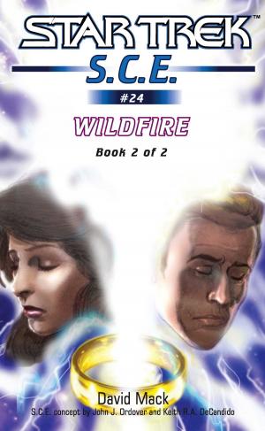 Cover of the book Wildfire Book 2 by Lewis J Jones