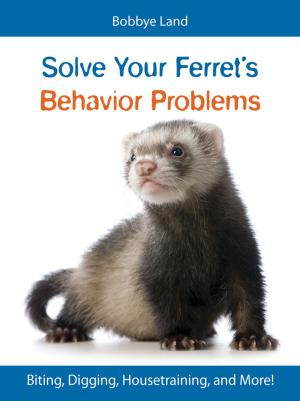 Cover of the book Solve Your Ferret's Behavior Problems by Debra M. Eldredge, DVM
