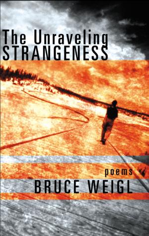 Cover of the book The Unraveling Strangeness by Kevin Morris