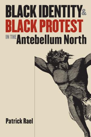Book cover of Black Identity and Black Protest in the Antebellum North