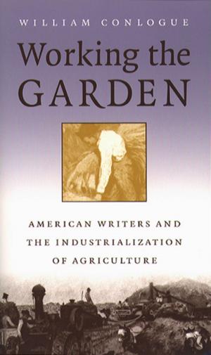 Cover of the book Working the Garden by Mario T. García