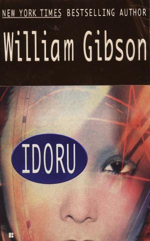 Cover of the book Idoru by Glenn Puit