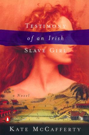 Cover of the book Testimony of an Irish Slave Girl by Frederick Douglass, John David Smith