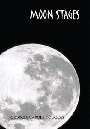 Cover of the book Moon Stages by Shpend Sollaku Noé