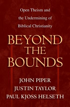 Book cover of Beyond the Bounds