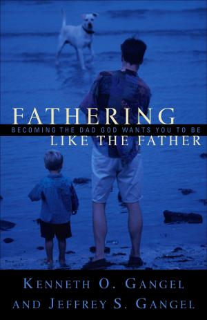 Cover of the book Fathering Like the Father by Bruce Robinson