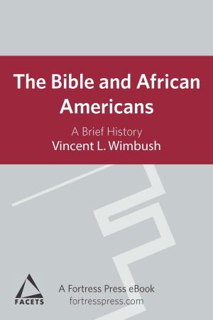 Cover of the book Bible and African Americans by Leah Rediger Schulte