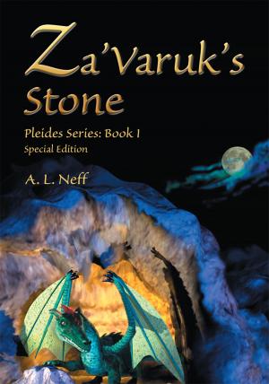 Cover of the book Za'varuk's Stone by Adam Pfeffer