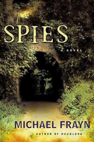Cover of the book Spies by David Simon