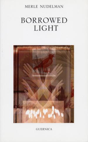 Cover of the book Borrowed Light by Daniel Perry
