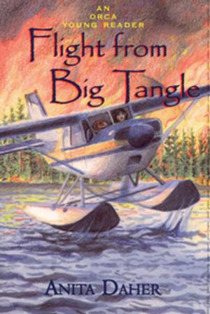 Cover of the book Flight From Big Tangle by Sigmund Brouwer