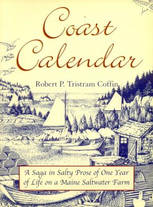 Cover of the book Coast Calendar by Kelly Paul Briggs
