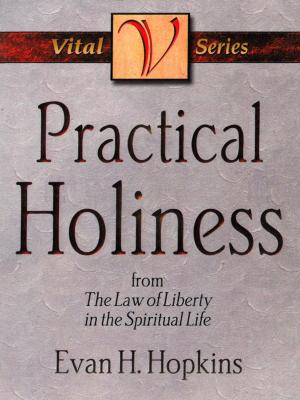 Cover of the book Practical Holiness by C.W. Slemming