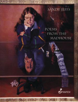 Cover of the book Poems From the Madhouse by Diane Bell