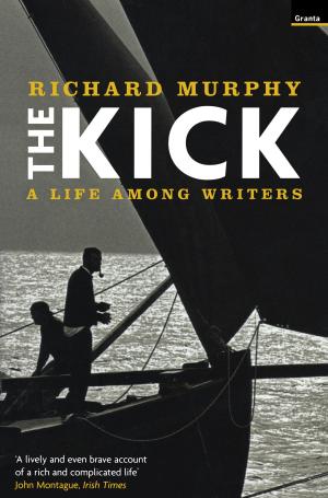 Cover of the book The Kick by Andrew McNelliie
