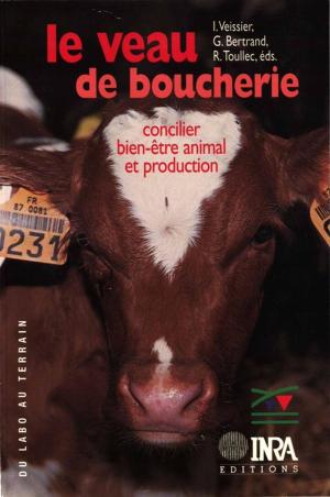 Cover of the book Le veau de boucherie by Serge Morand, Muriel Figuié
