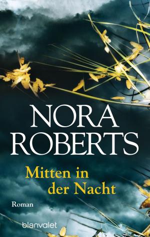 Cover of the book Mitten in der Nacht by James Patterson
