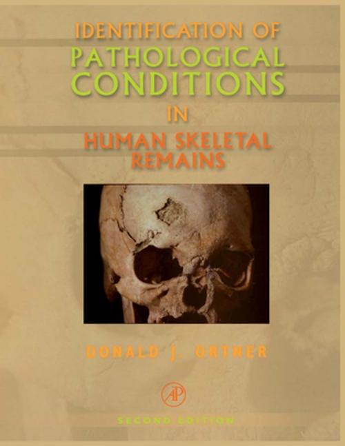 Cover of the book Identification of Pathological Conditions in Human Skeletal Remains by Donald J. Ortner, Elsevier Science