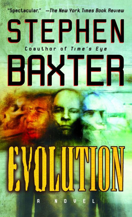 Cover of the book Evolution by Stephen Baxter, Random House Publishing Group