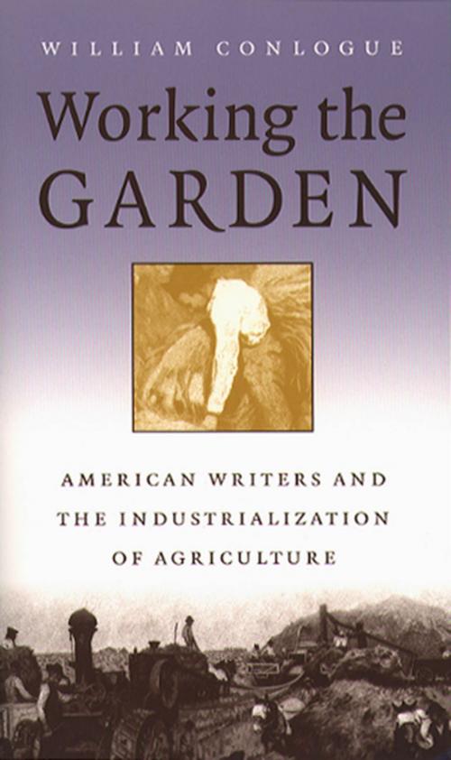 Cover of the book Working the Garden by William Conlogue, The University of North Carolina Press
