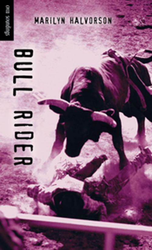 Cover of the book Bull Rider by Marilyn Halvorson, Orca Book Publishers