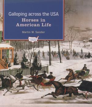 Cover of the book Flying over the USA by Nicholas Penny
