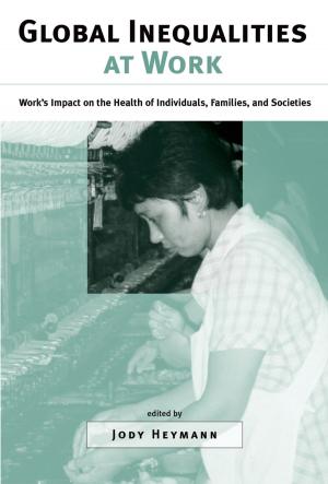 Cover of the book Global Inequalities at Work by Heather B. Patisaul, Scott M. Belcher