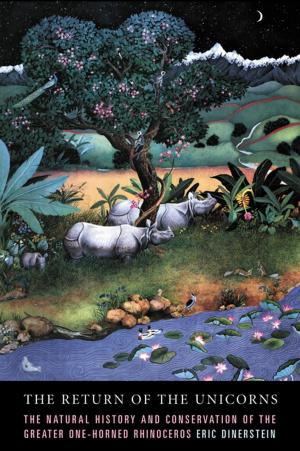Book cover of The Return of the Unicorns