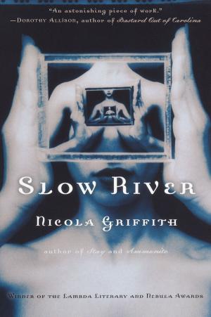 Cover of the book Slow River by Peter Gethers