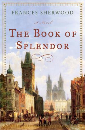 Cover of the book The Book of Splendor: A Novel by Laurence Scott