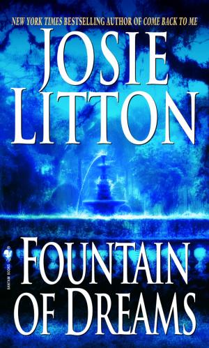 Cover of the book Fountain of Dreams by M. John Harrison