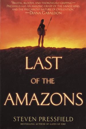 Cover of the book Last of the Amazons by Callie Bates