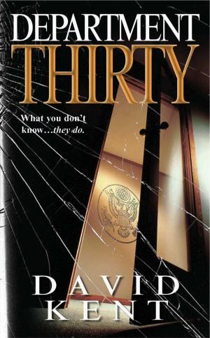 Cover of the book Department Thirty by Sherrilyn Kenyon, Dianna Love