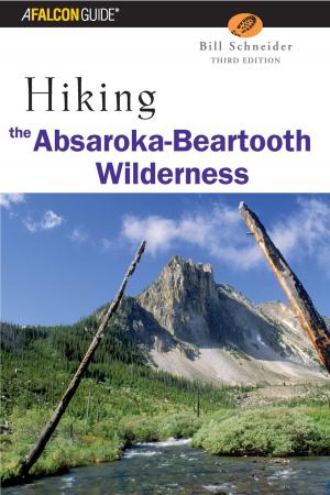 Cover of the book Hiking the Absaroka-Beartooth Wilderness by Bill Haggerty