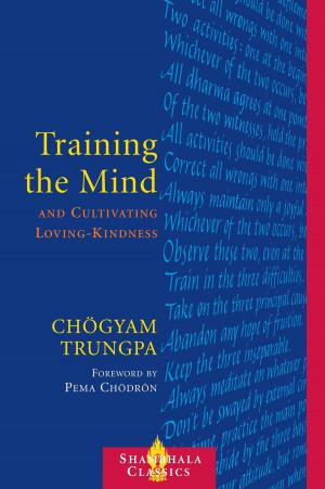 Cover of the book Training the Mind and Cultivating Loving-Kindness by Andrew Harvey