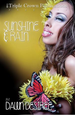 Cover of the book Sunshine & Rain by Keisha Ervin