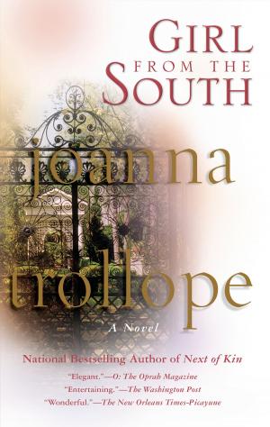 Cover of the book Girl from the South by Amanda Elyot