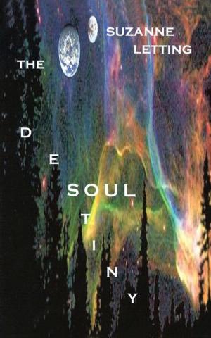 Cover of the book The Destiny Soul by Arbab Akanda