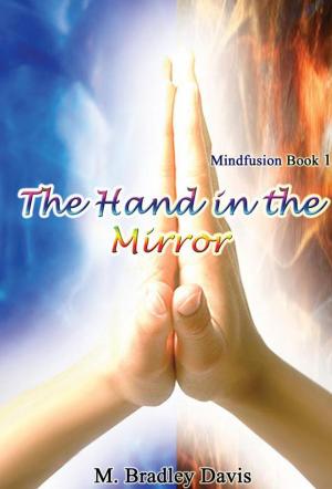 Book cover of The Hand in the Mirror