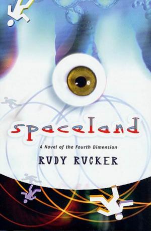 Book cover of Spaceland
