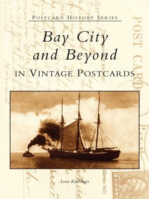 Cover of the book Bay City and Beyond in Vintage Postcards by Trina M. Haynes