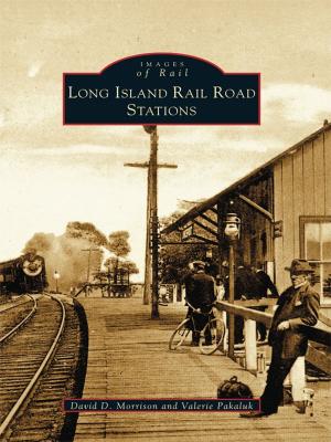 Book cover of Long Island Rail Road Stations