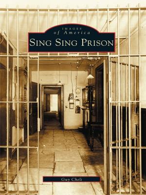 Cover of the book Sing Sing Prison by Teri Horsley