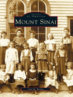Cover of the book Mount Sinai by Vincent Parrillo, Beth Parrillo, Arthur Wrubel