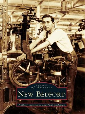 Cover of the book New Bedford by Bob Goldsack